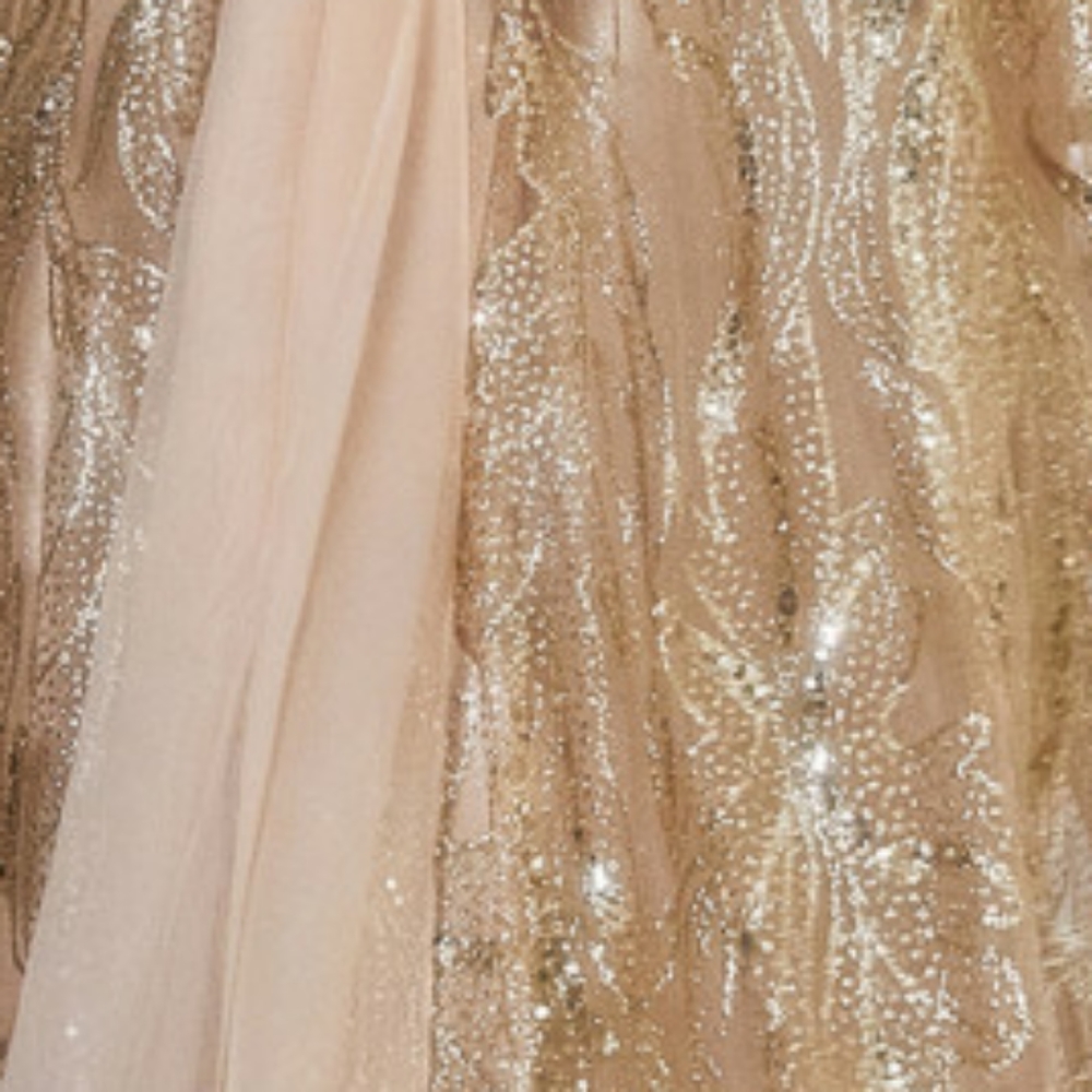 Gold,blue,silver,mauve pink strapless long gown with shawl cape - Picture 3 of 8